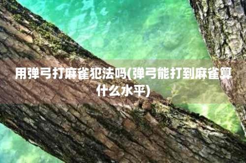 用弹弓打麻雀犯法吗(弹弓能打到麻雀算什么水平)