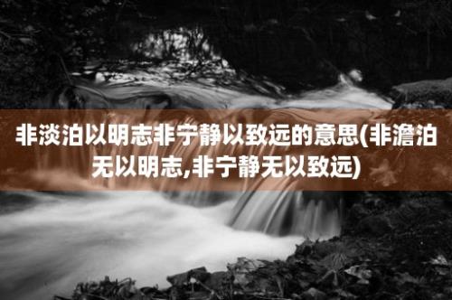 非淡泊以明志非宁静以致远的意思(非澹泊无以明志,非宁静无以致远)