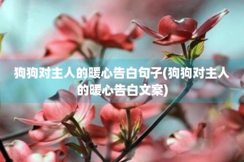 狗狗对主人的暖心告白句子(狗狗对主人的暖心告白文案)