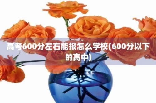 高考600分左右能报怎么学校(600分以下的高中)