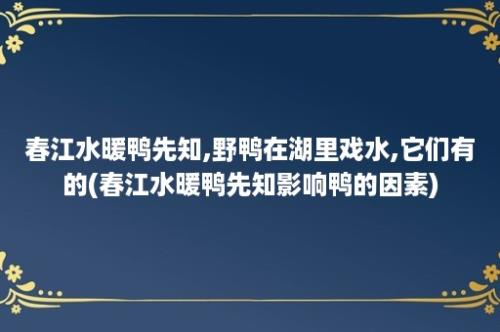 春江水暖鸭先知,野鸭在湖里戏水,它们有的(春江水暖鸭先知影响鸭的因素)