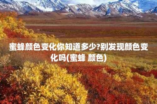 蜜蜂颜色变化你知道多少?别发现颜色变化吗(蜜蜂 颜色)