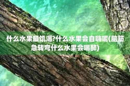 什么水果最饥渴?什么水果会自嗨呢(脑筋急转弯什么水果会喝醉)