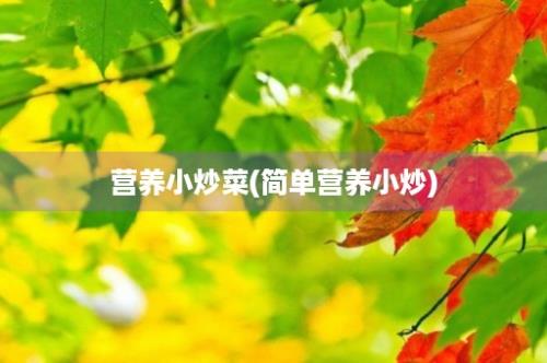 营养小炒菜(简单营养小炒)