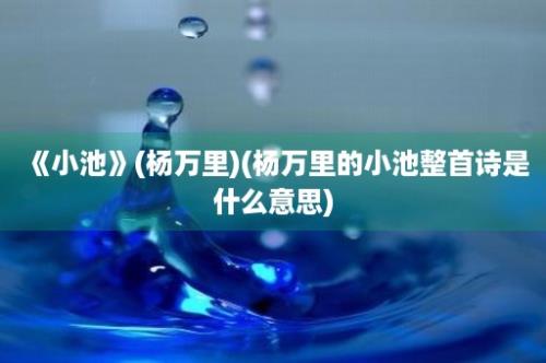 《小池》(杨万里)(杨万里的小池整首诗是什么意思)