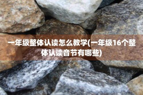 一年级整体认读怎么教学(一年级16个整体认读音节有哪些)