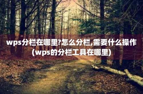 wps分栏在哪里?怎么分栏,需要什么操作(wps的分栏工具在哪里)