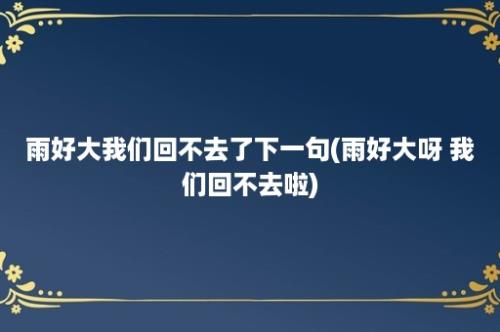 雨好大我们回不去了下一句(雨好大呀 我们回不去啦)