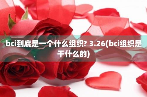 bci到底是一个什么组织? 3.26(bci组织是干什么的)