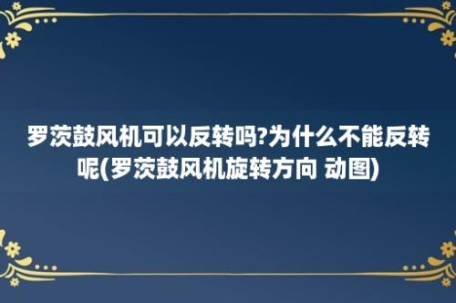 罗茨鼓风机可以反转吗?为什么不能反转呢(罗茨鼓风机旋转方向 动图)