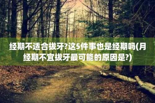 经期不适合拔牙?这5件事也是经期吗(月经期不宜拔牙最可能的原因是?)