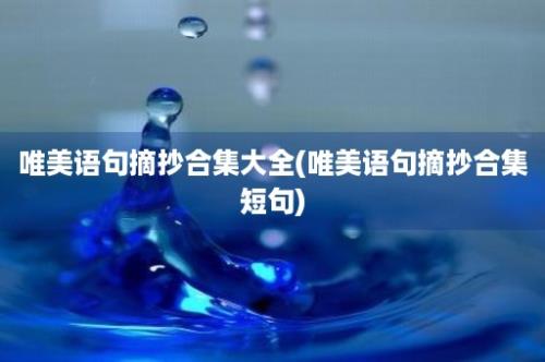 唯美语句摘抄合集大全(唯美语句摘抄合集短句)