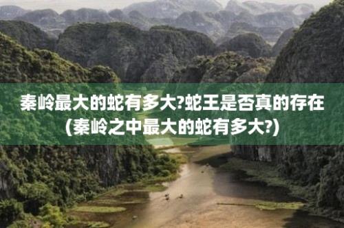 秦岭最大的蛇有多大?蛇王是否真的存在(秦岭之中最大的蛇有多大?)