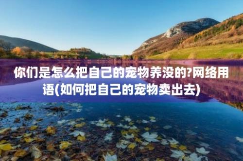 你们是怎么把自己的宠物养没的?网络用语(如何把自己的宠物卖出去)