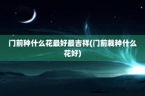 门前种什么花最好最吉祥(门前栽种什么花好)