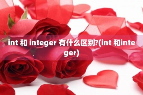 int 和 integer 有什么区别?(int 和integer)