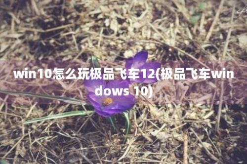 win10怎么玩极品飞车12(极品飞车windows 10)