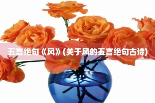 五言绝句《风》(关于风的五言绝句古诗)