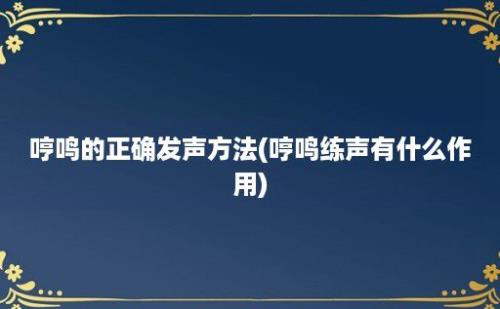 哼鸣的正确发声方法(哼鸣练声有什么作用)