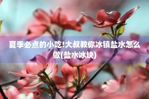 夏季必点的小吃!大叔教你冰镇盐水怎么做(盐水冰块)