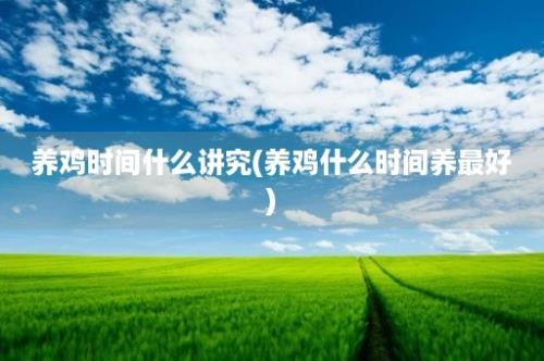 养鸡时间什么讲究(养鸡什么时间养最好)