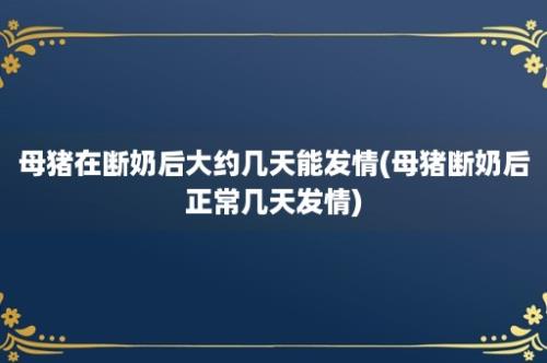 母猪在断奶后大约几天能发情(母猪断奶后正常几天发情)