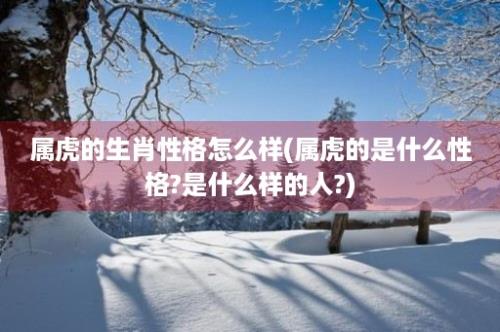 属虎的生肖性格怎么样(属虎的是什么性格?是什么样的人?)