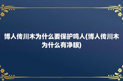 博人传川木为什么要保护鸣人(博人传川木为什么有净眼)