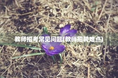 教师招考常见问题(教师招聘难点)