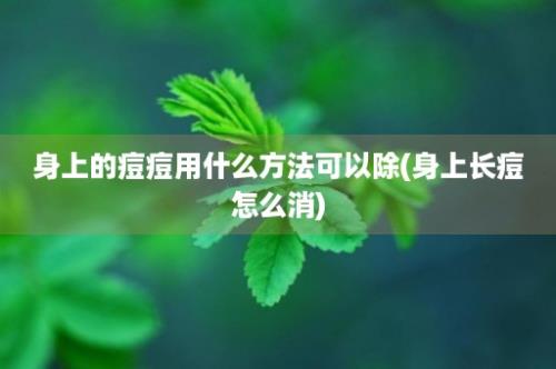 身上的痘痘用什么方法可以除(身上长痘怎么消)