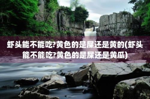 虾头能不能吃?黄色的是屎还是黄的(虾头能不能吃?黄色的是屎还是黄瓜)