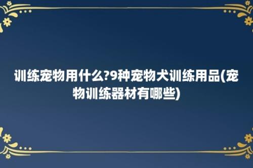 训练宠物用什么?9种宠物犬训练用品(宠物训练器材有哪些)