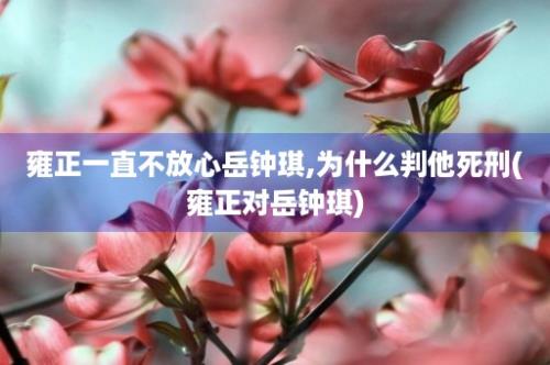 雍正一直不放心岳钟琪,为什么判他死刑(雍正对岳钟琪)