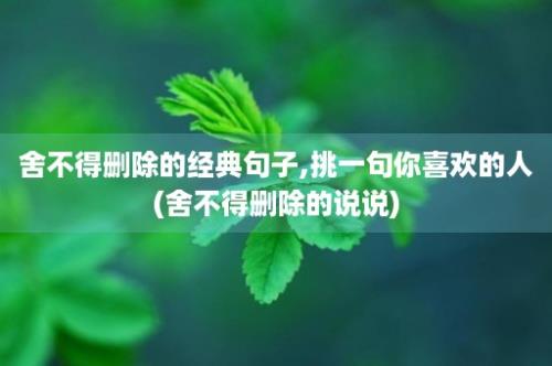 舍不得删除的经典句子,挑一句你喜欢的人(舍不得删除的说说)