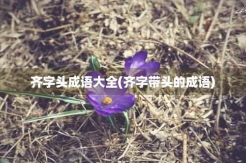 齐字头成语大全(齐字带头的成语)