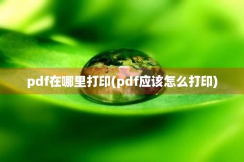 pdf在哪里打印(pdf应该怎么打印)