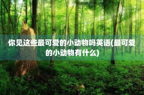 你见这些最可爱的小动物吗英语(最可爱的小动物有什么)