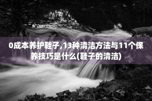 0成本养护鞋子,13种清洁方法与11个保养技巧是什么(鞋子的清洁)