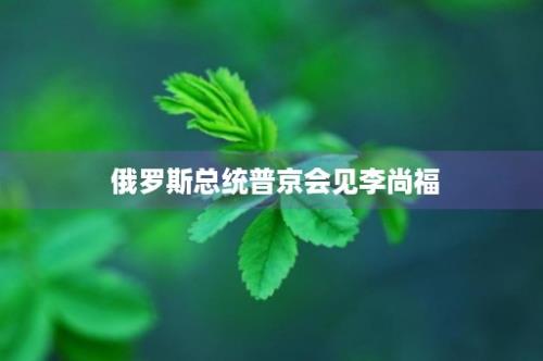  俄罗斯总统普京会见李尚福