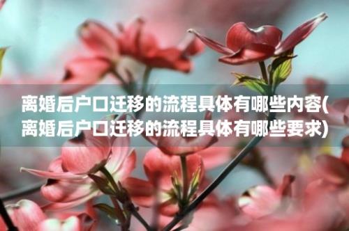 离婚后户口迁移的流程具体有哪些内容(离婚后户口迁移的流程具体有哪些要求)