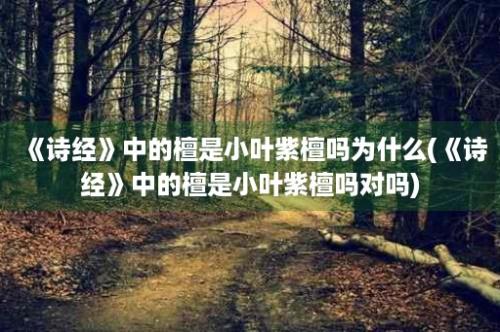 《诗经》中的檀是小叶紫檀吗为什么(《诗经》中的檀是小叶紫檀吗对吗)