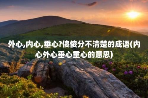 外心,内心,垂心?傻傻分不清楚的成语(内心外心垂心重心的意思)