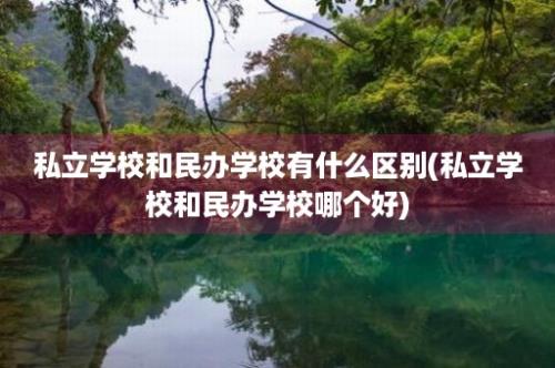 私立学校和民办学校有什么区别(私立学校和民办学校哪个好)