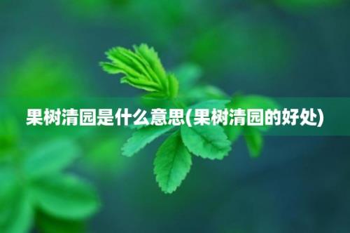 果树清园是什么意思(果树清园的好处)