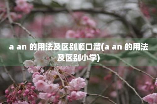 a an 的用法及区别顺口溜(a an 的用法及区别小学)