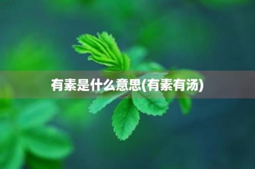 有素是什么意思(有素有汤)