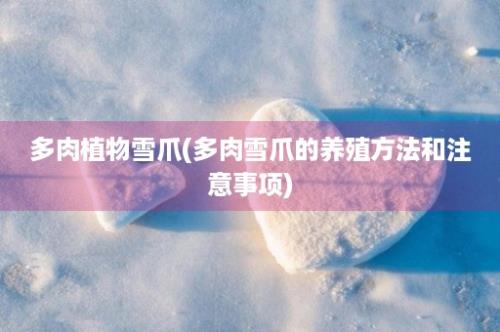 多肉植物雪爪(多肉雪爪的养殖方法和注意事项)