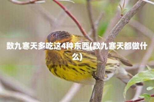 数九寒天多吃这4种东西(数九寒天都做什么)