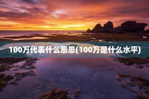 100万代表什么意思(100万是什么水平)