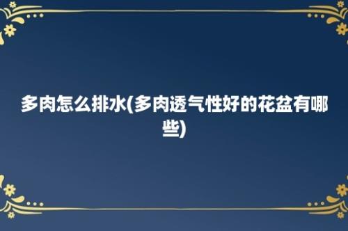 多肉怎么排水(多肉透气性好的花盆有哪些)